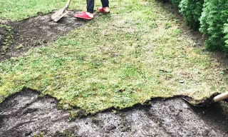 Снятие дерна старого газона в Пскове – от 509 руб. | 2Землекопа-Пск