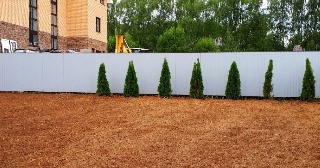 Отсыпка грунта Псков, цена от 204 руб.